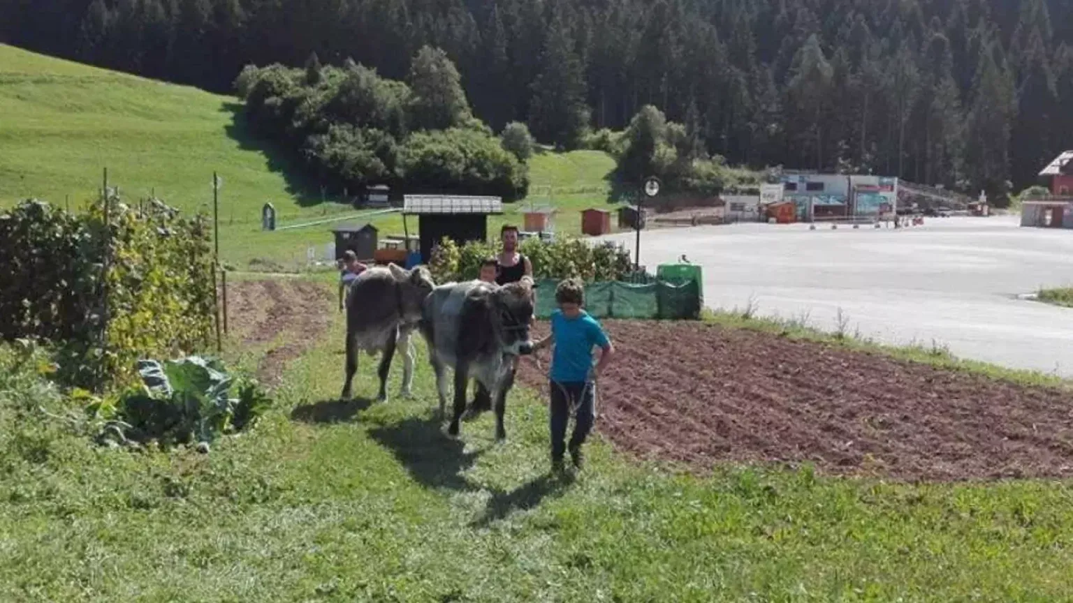 Agritur Maso Grezi – foto 2 dal sito ufficiale