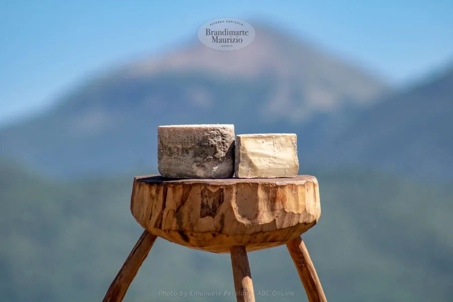 Formaggio pecorino erborinato – foto del produttore
