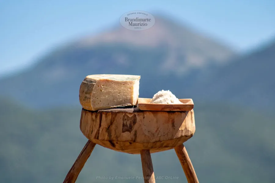 Formaggio pecorino stagionato di Norcia – foto del produttore
