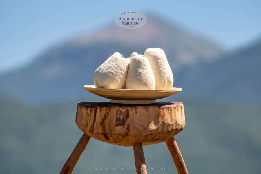 Ricotta salata – foto del produttore