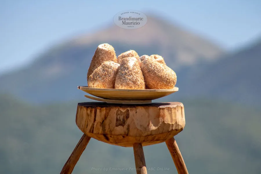 Ricotta salata stagionata – foto del produttore