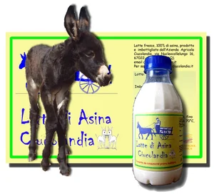 Logo Azienda Agricola "Ciucolandia"