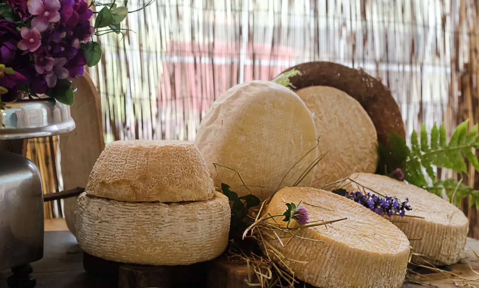 Azienda Agricola Dolce Fiorita – foto 1 dal sito ufficiale