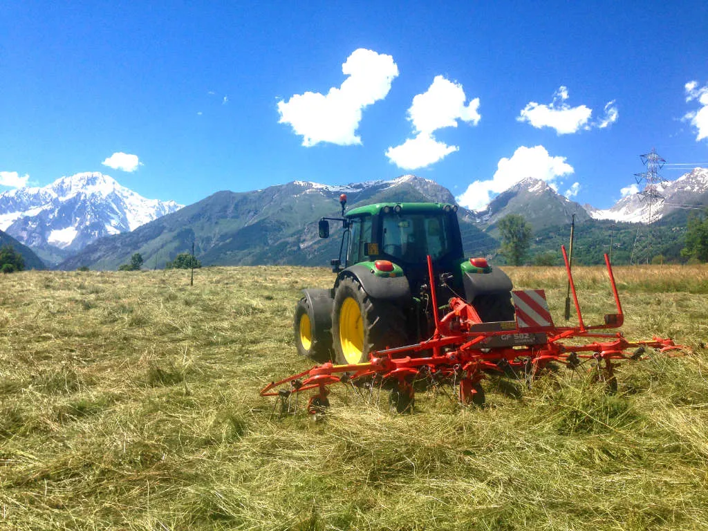Azienda Agricola Quinson – foto 4 dal sito ufficiale