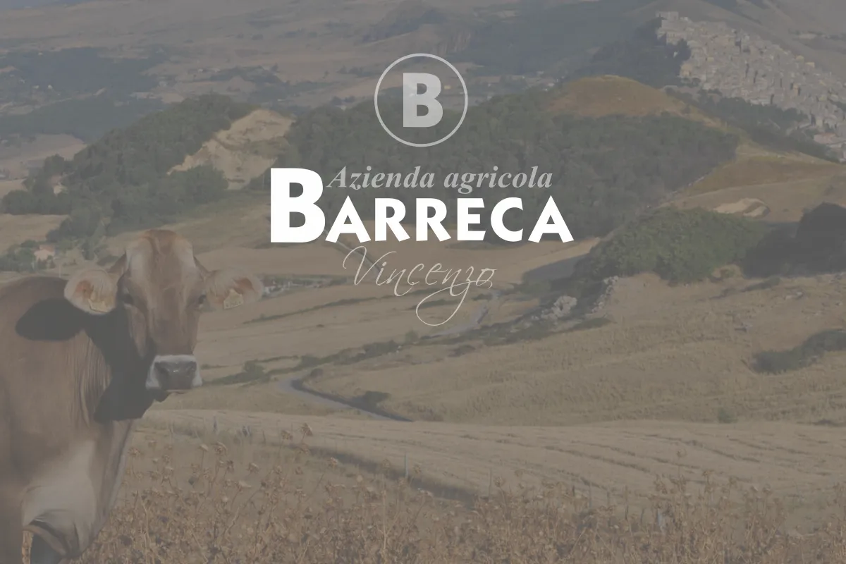 Azienda Agricola Vincenzo Barreca – foto 3 dal sito ufficiale