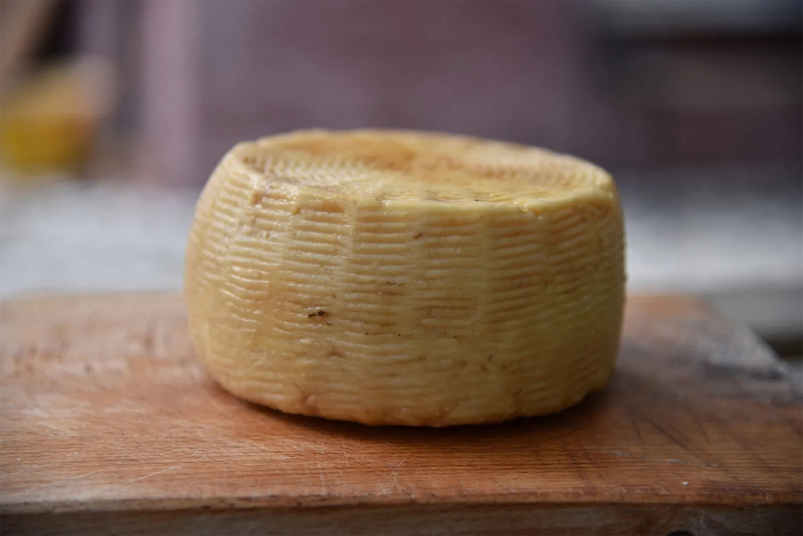 Pecorino di Picinisco DOP di Casa Lawrence