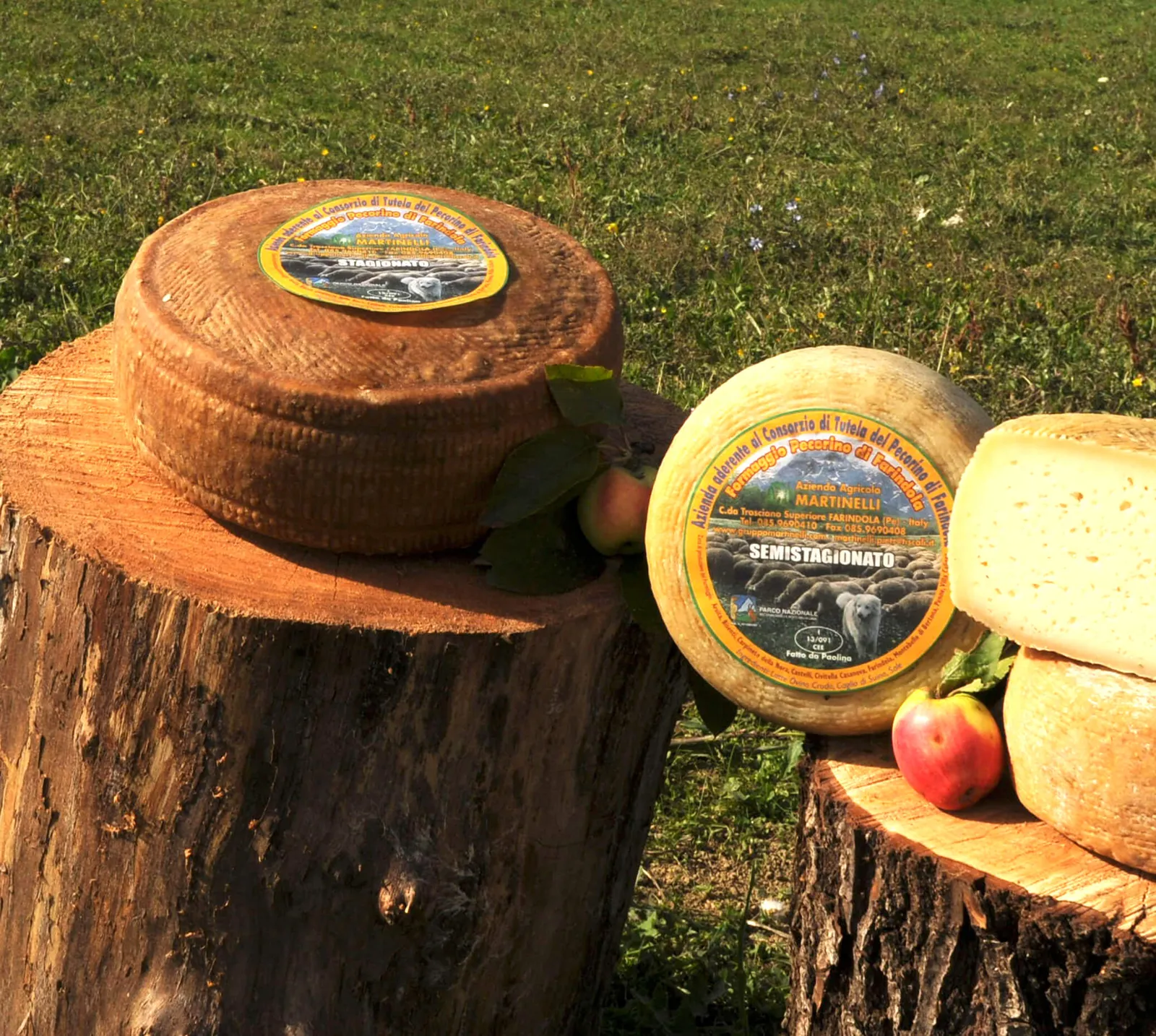 Casearia San Panfilo – foto 2 dal sito ufficiale