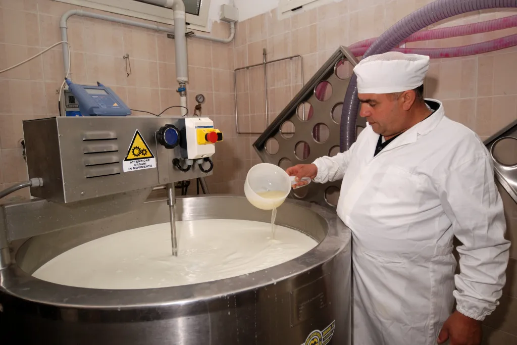Lavorazione del latte nel caseificio Erkiles