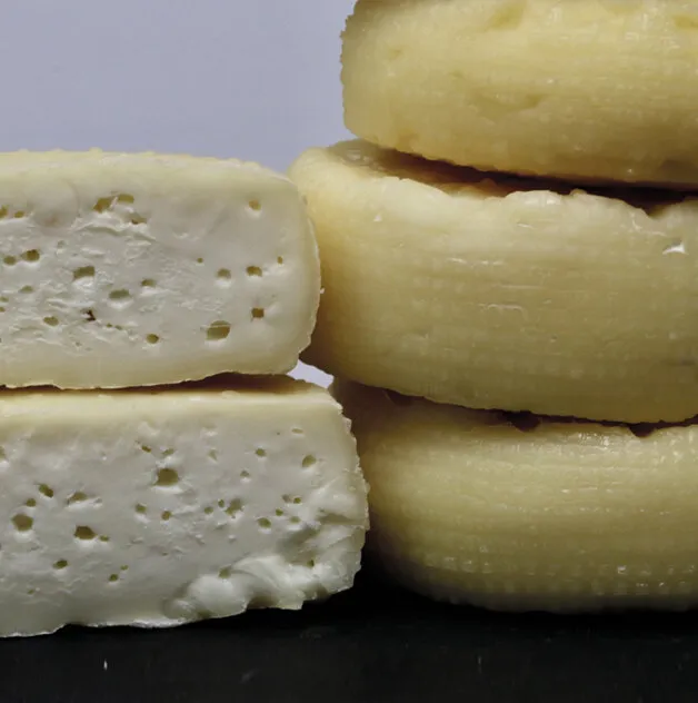 Borberina – foto del produttore