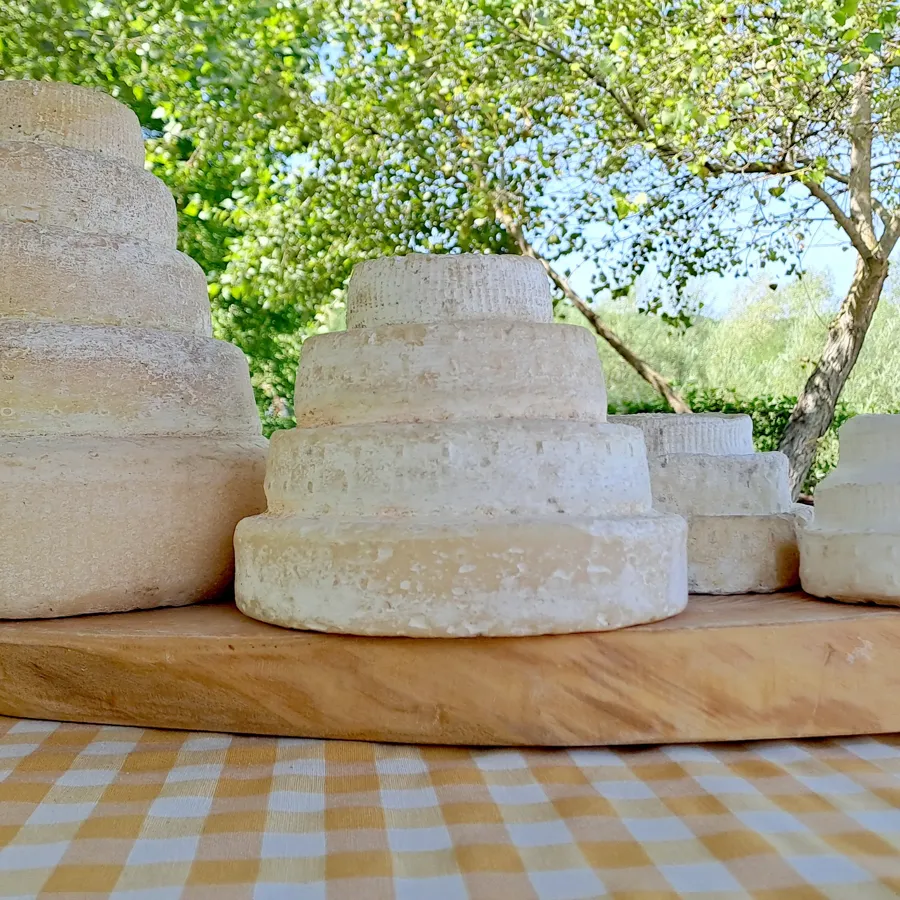 Il Montébore Maxi – foto del produttore