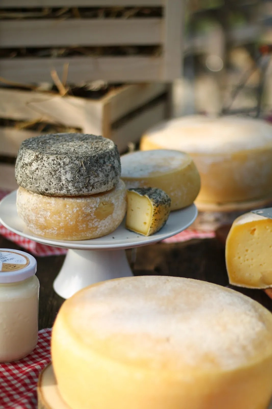 Formaggi a latte crudo della Fattoria Zoff su un tavolo