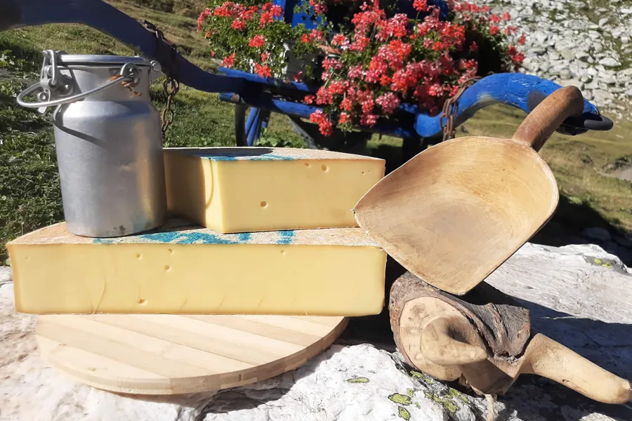 Fontina DOP d’alpeggio – foto del produttore