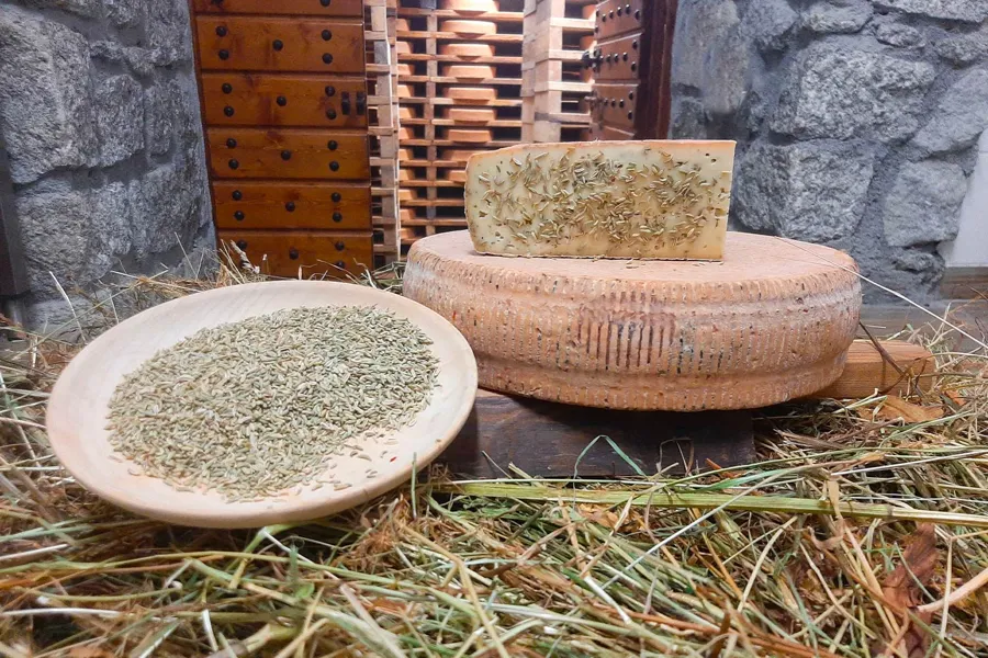 Toma al finocchio – foto del produttore