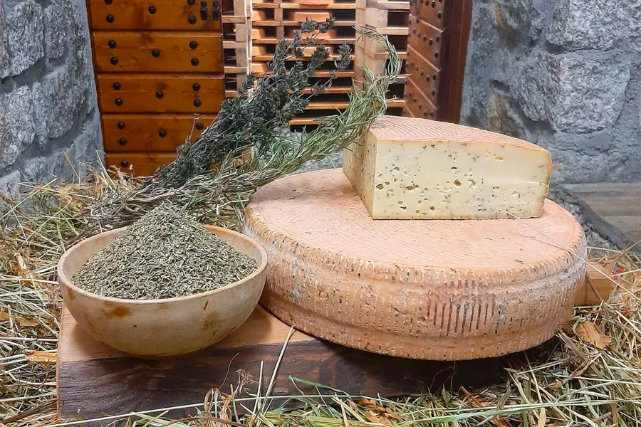 Toma alle erbe di montagna – foto del produttore