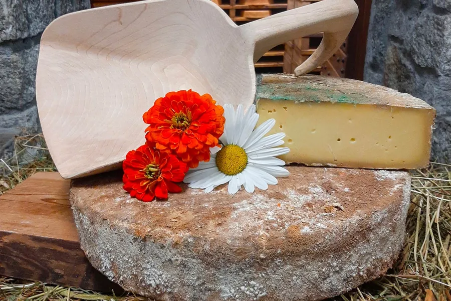 Toma invecchiata – foto del produttore