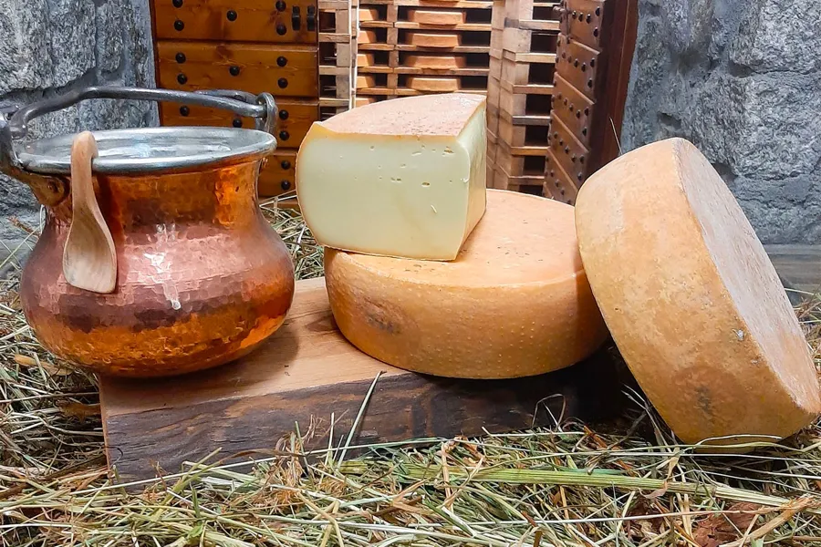 Toma morbida – foto del produttore