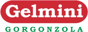 Logo Gelmini Carlo Srl
