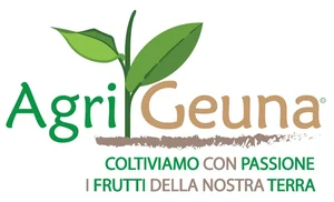 Logo Geuna Giacomo Caseificio