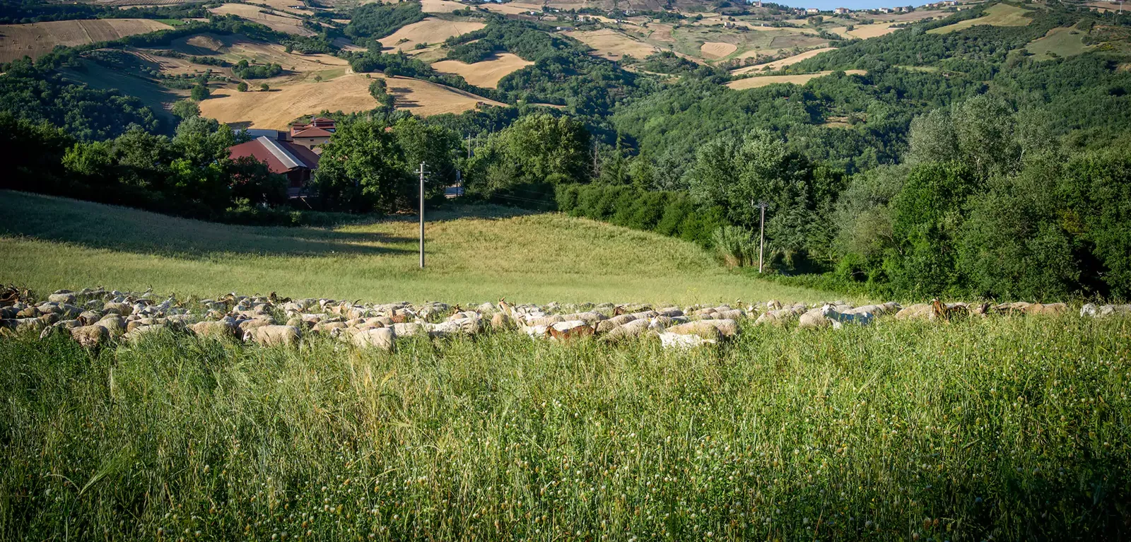 Il Parco delle Bontà Caggiano-Summo foto 2