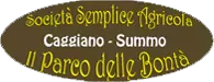 Logo Il Parco delle Bontà Caggiano-Summo