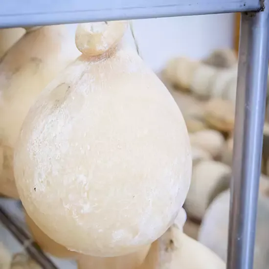 Caciocavallo fresco 2-3 mesi – foto del produttore