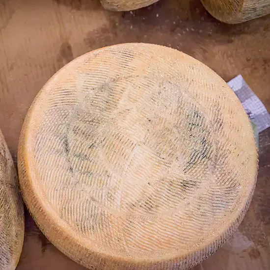 Formaggio Pecorino Forenza – foto del produttore