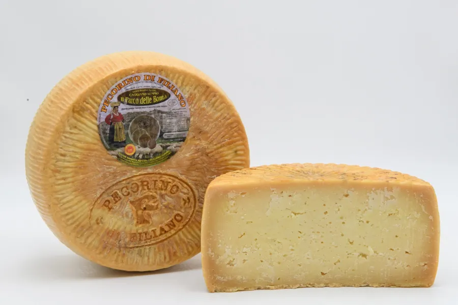 Pecorino di Filiano DOP – foto del produttore