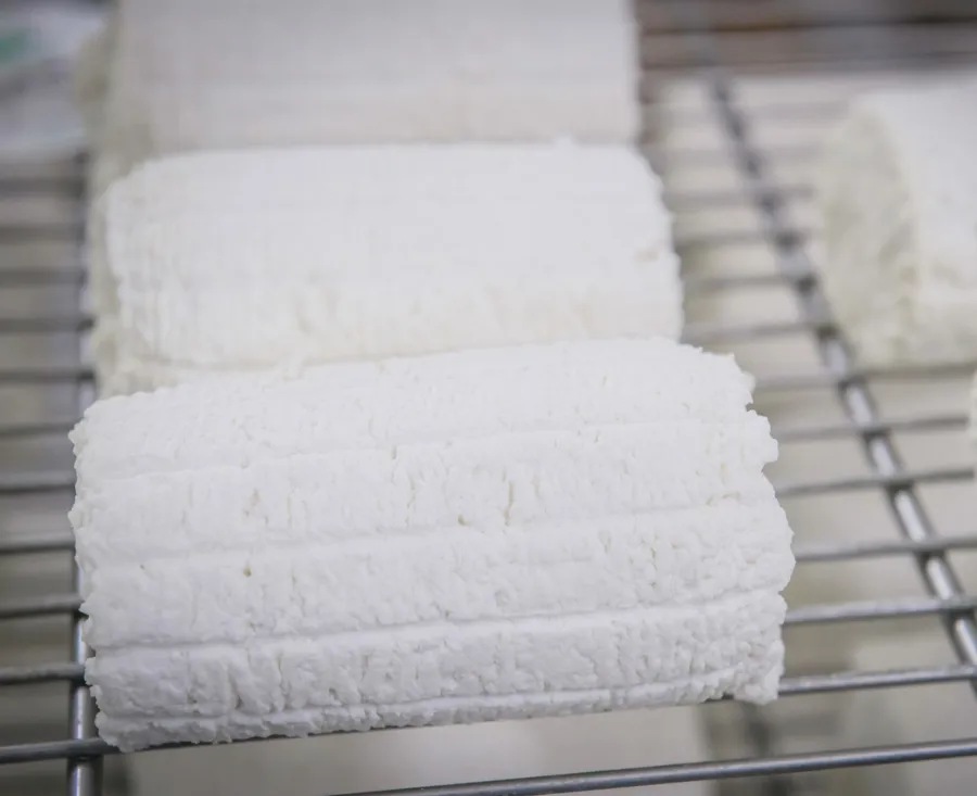 Ricotta salata di pecora – foto del produttore