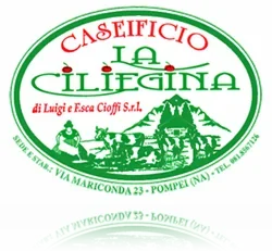 Logo La Ciliegina Di Luigi E Francesca Cioffi S.r.l.