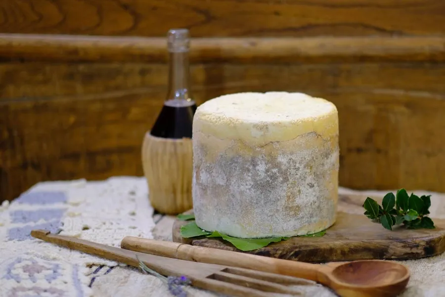 MUFFATO – foto del produttore