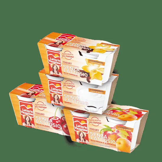 Yogurt Senza Lattosio 2 x – foto del produttore