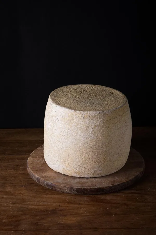 Pecorino biologico stagionato a latte crudo – foto del produttore
