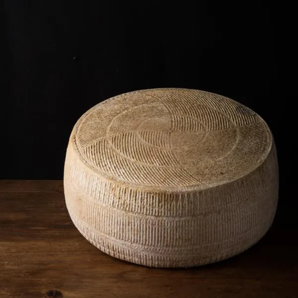 Pecorino gran riserva biologico a latte crudo – foto del produttore