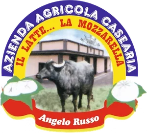 Logo Russo Angelo