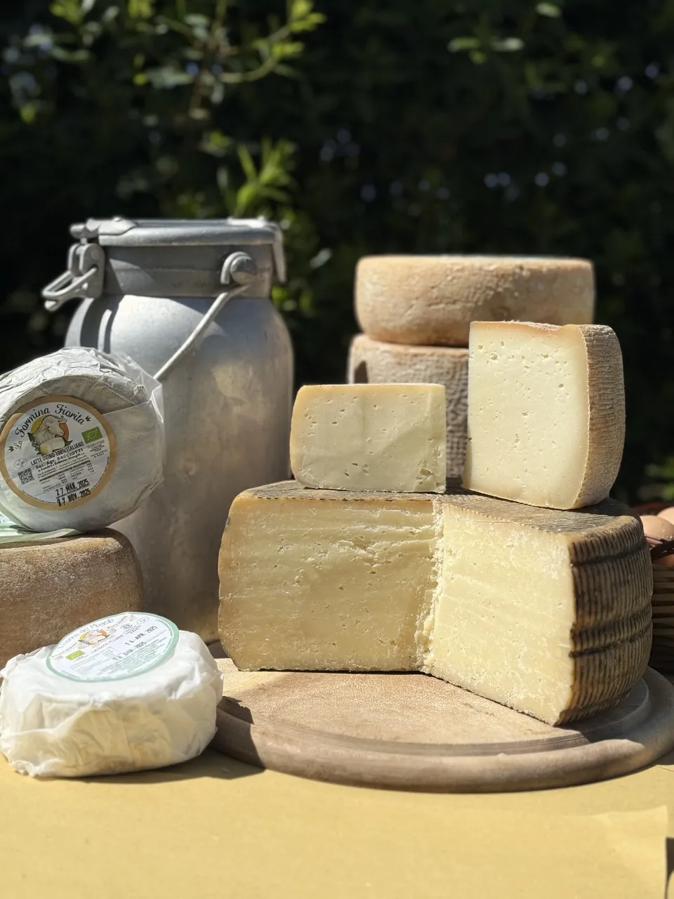 Società Agraria Bacciotti – foto 1 dal sito ufficiale