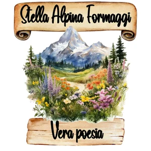 Logo Stella Alpina di Terziano Alessandra
