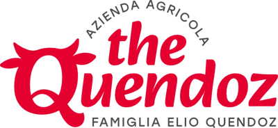 Logo The Quendoz