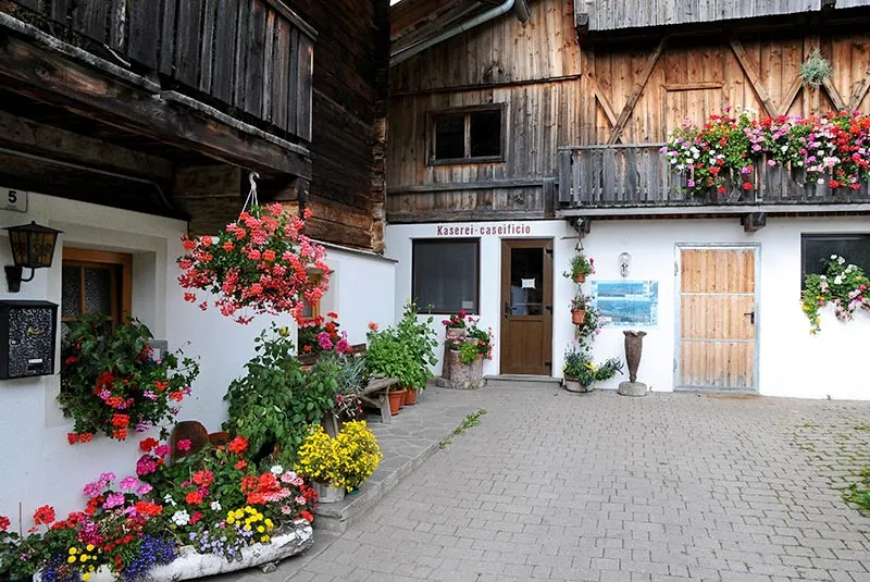 Waldsamerhof – foto 1 dal sito ufficiale