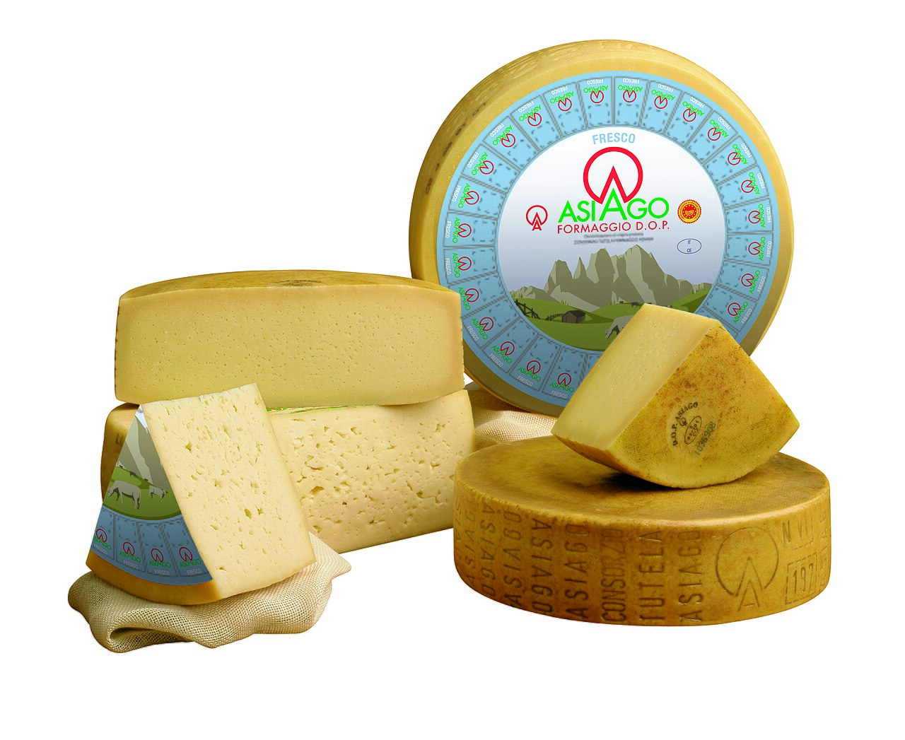 Asiago DOP fresco e stagionato, forme e spicchi