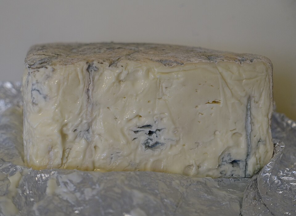 Pezzo di Gorgonzola con le venature blu