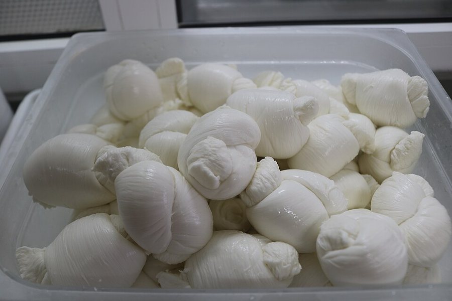Nodini di mozzarella fior di latte in una vaschetta