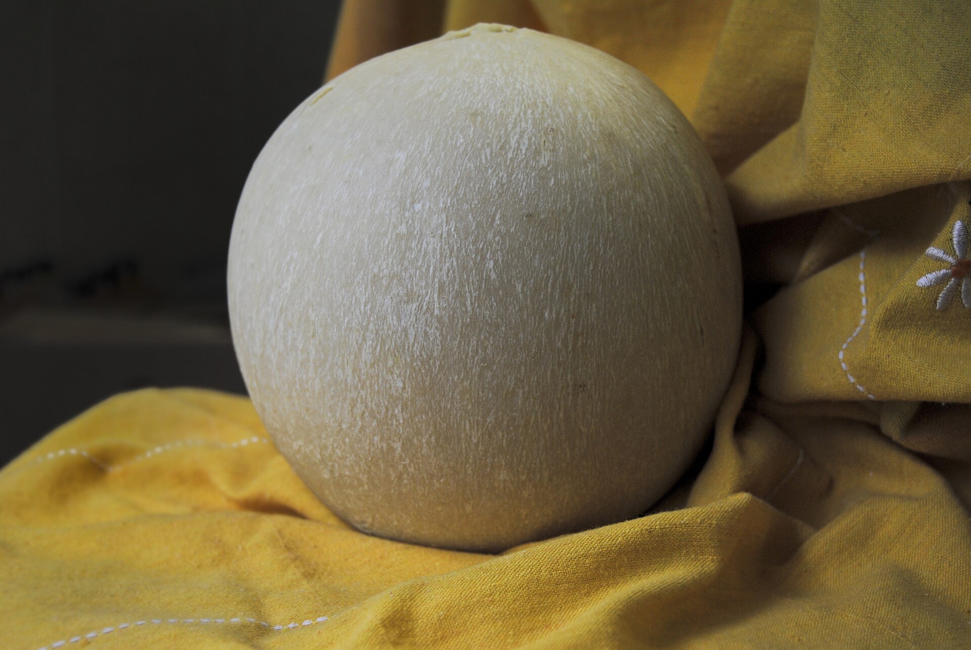 Una forma sferica di Pallone di Gravina stagionata tre mesi
