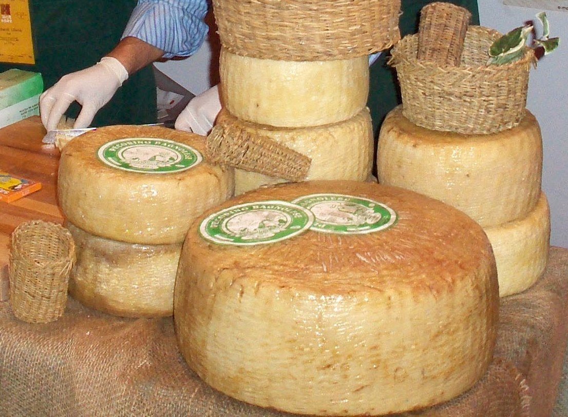 Forme di pecorino bagnolese con la crosta segnata dai canestri di vimini