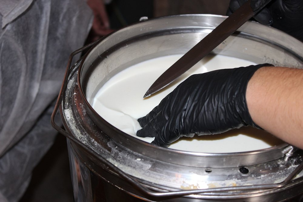 Caglio aggiunto al latte per la produzione del primosale