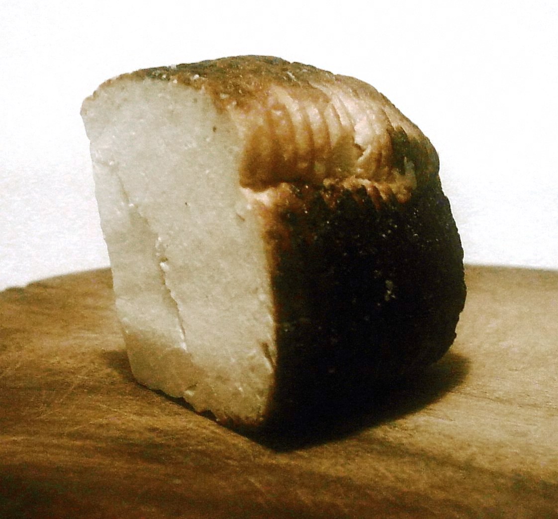 Una fetta di ricotta al forno con la crosta scura