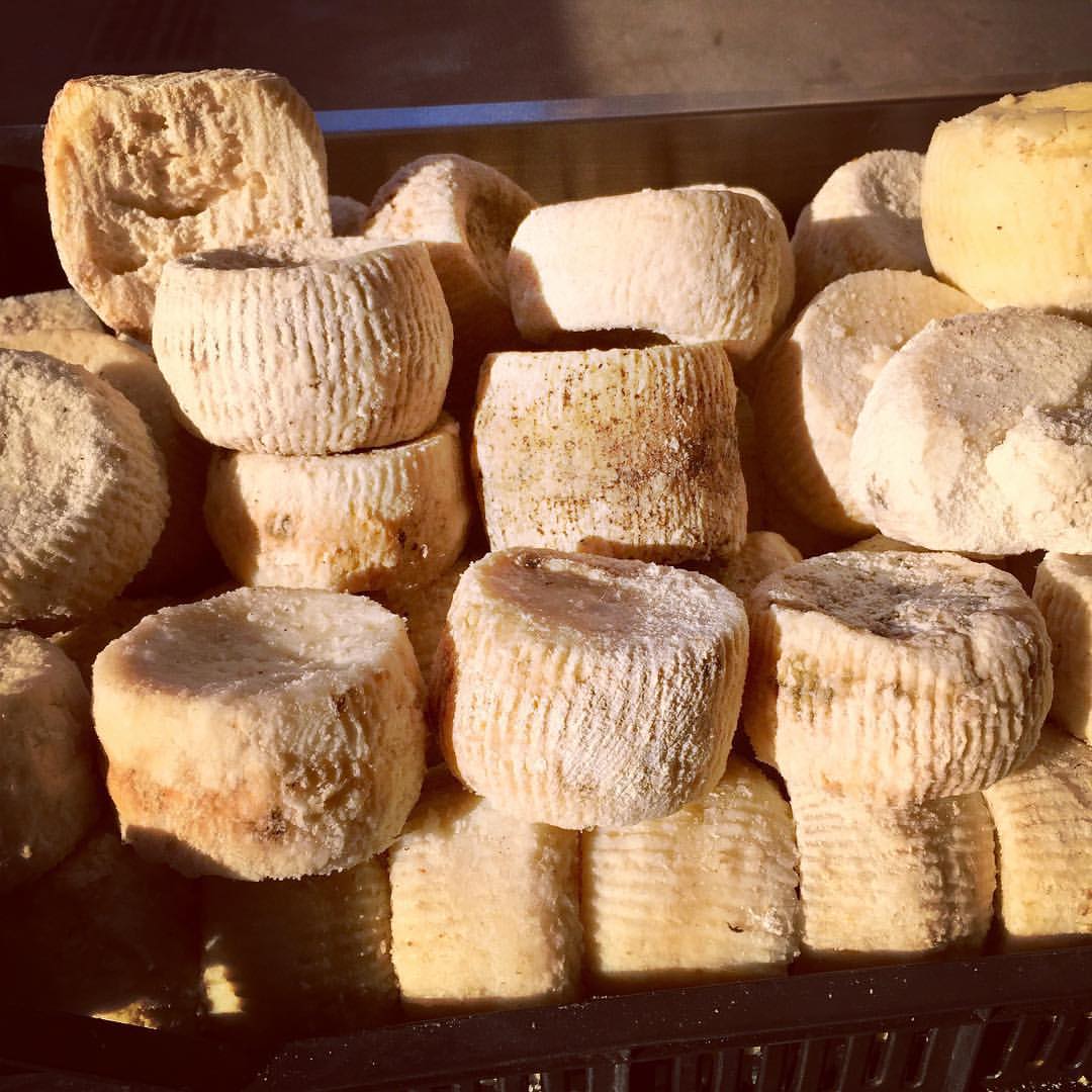Forme di ricotta salata su un banco del mercato di Siracusa
