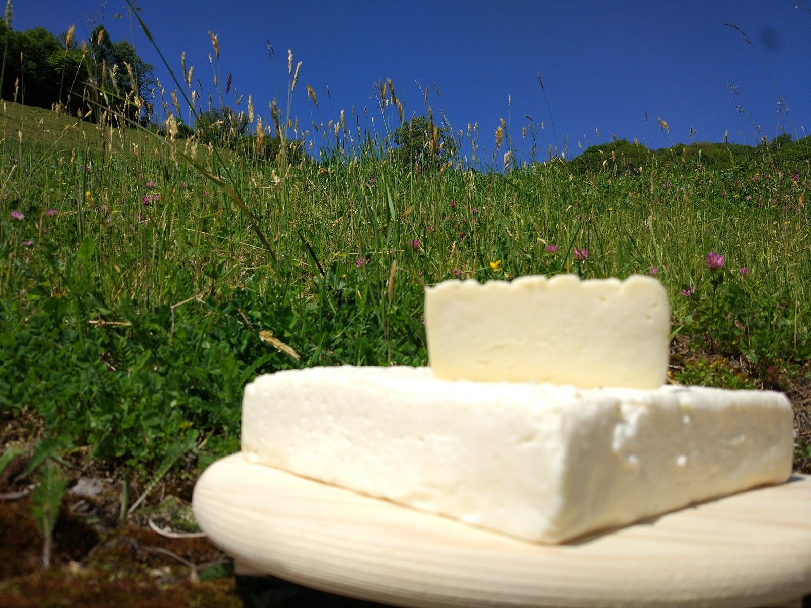 Stracchino del Bronzone, formaggio della Bergamasca