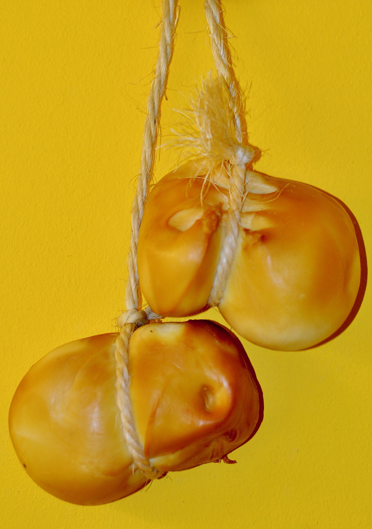 Due scamorze affumicate dalla crosta dorata legate con lo spago e appese