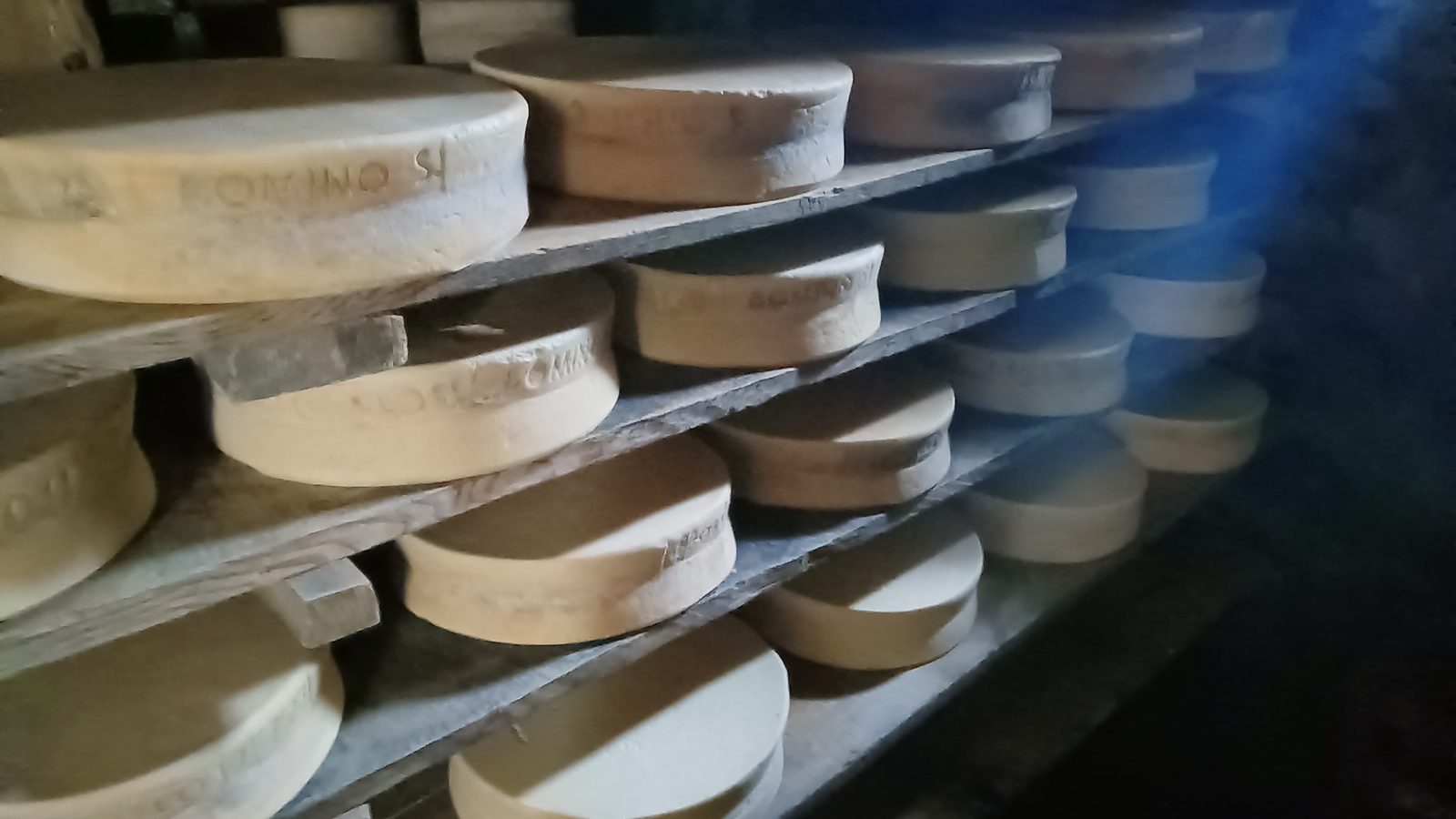 Forme di Storico Ribelle sulle assi della casera dell’alpeggio Bomino Soliva, in Valgerola